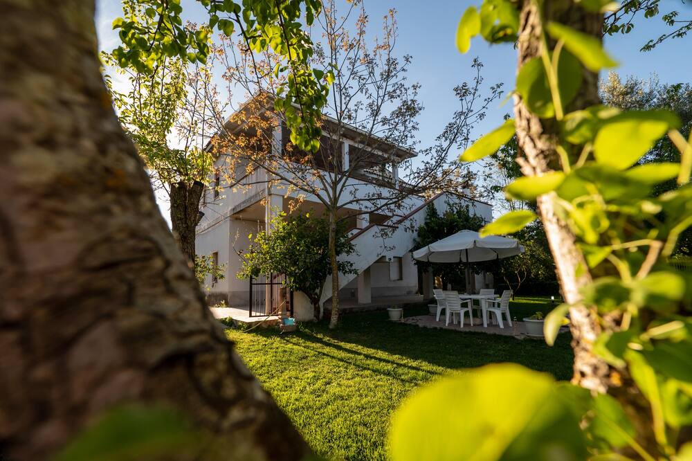 Photo of Outdoor in Jonadi