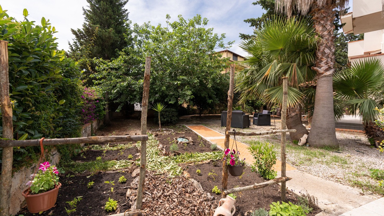 Photo of Outdoor in Carini