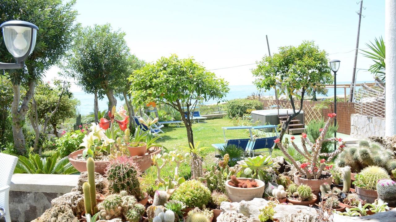 Photo of Outdoor in Barano d'Ischia