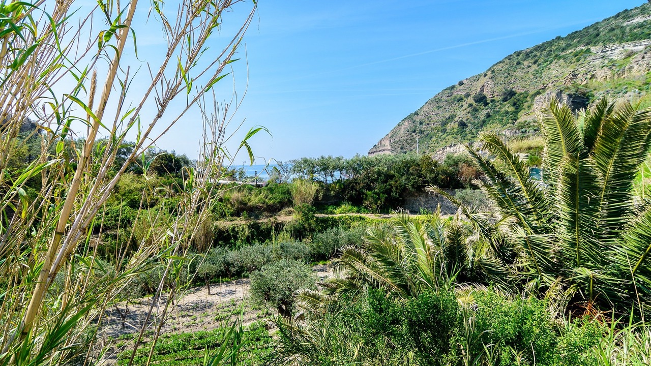 Photo of Outdoor in Panza