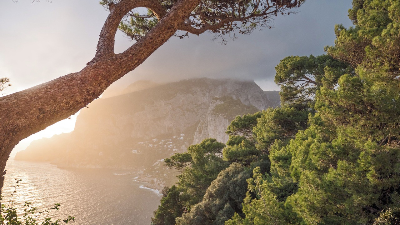 Photo of Others in Capri