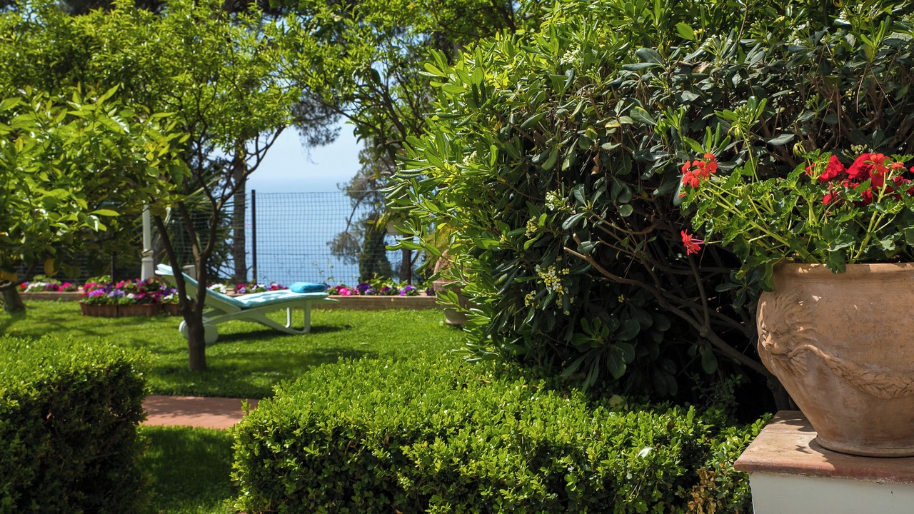 Photo of Outdoor in Capri