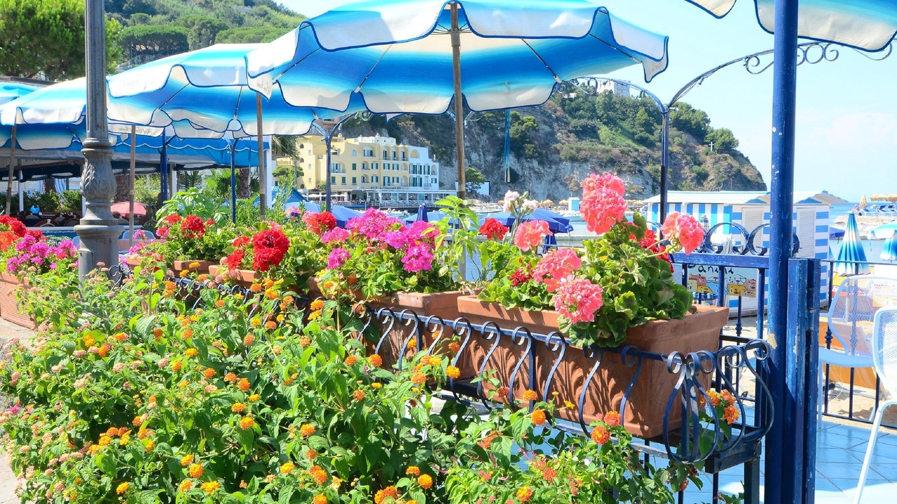 Photo of Outdoor in Lacco Ameno