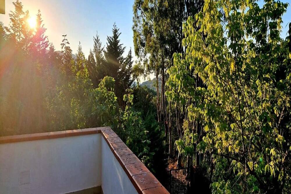Photo of Patio Balcony in Laureana Cilento
