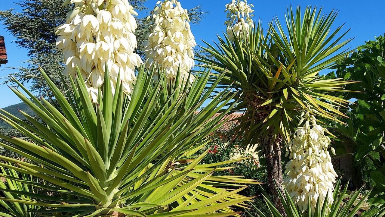 Photo of Outdoor in Caprarola