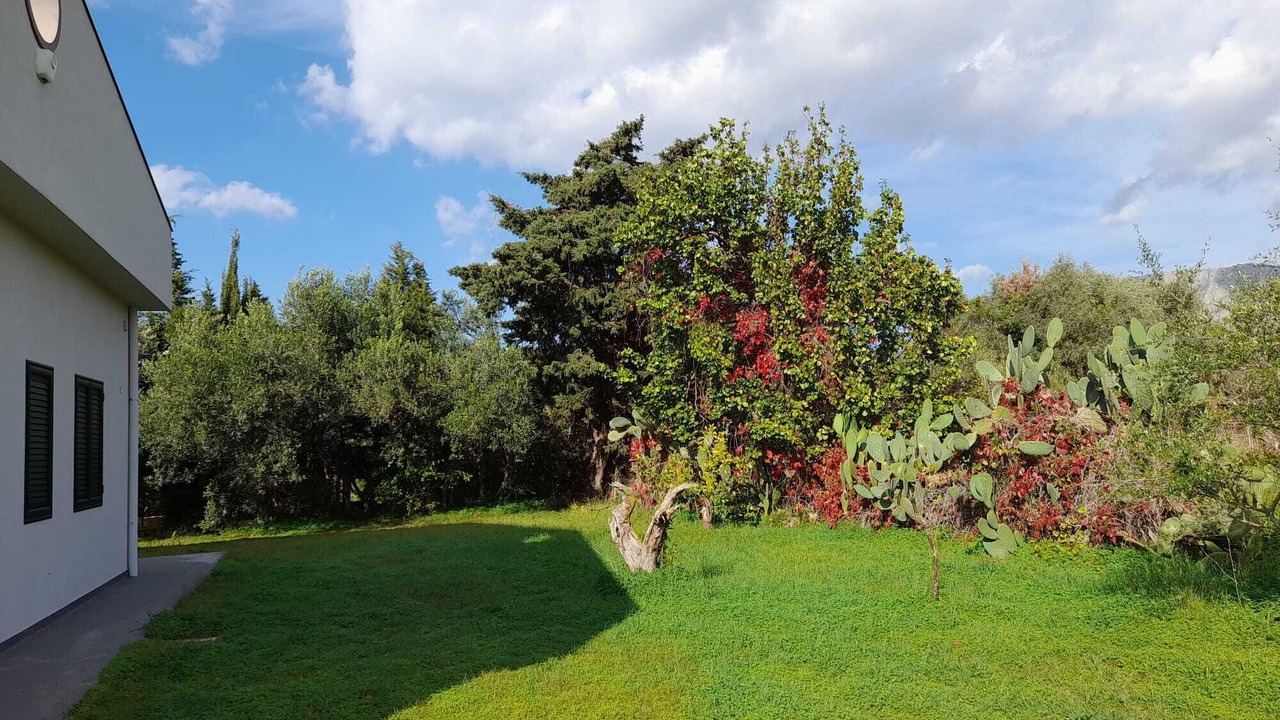 Photo of Outdoor in Partinico