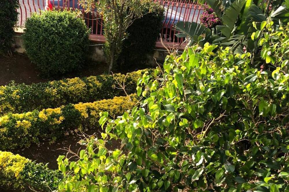 Photo of Outdoor in Carini
