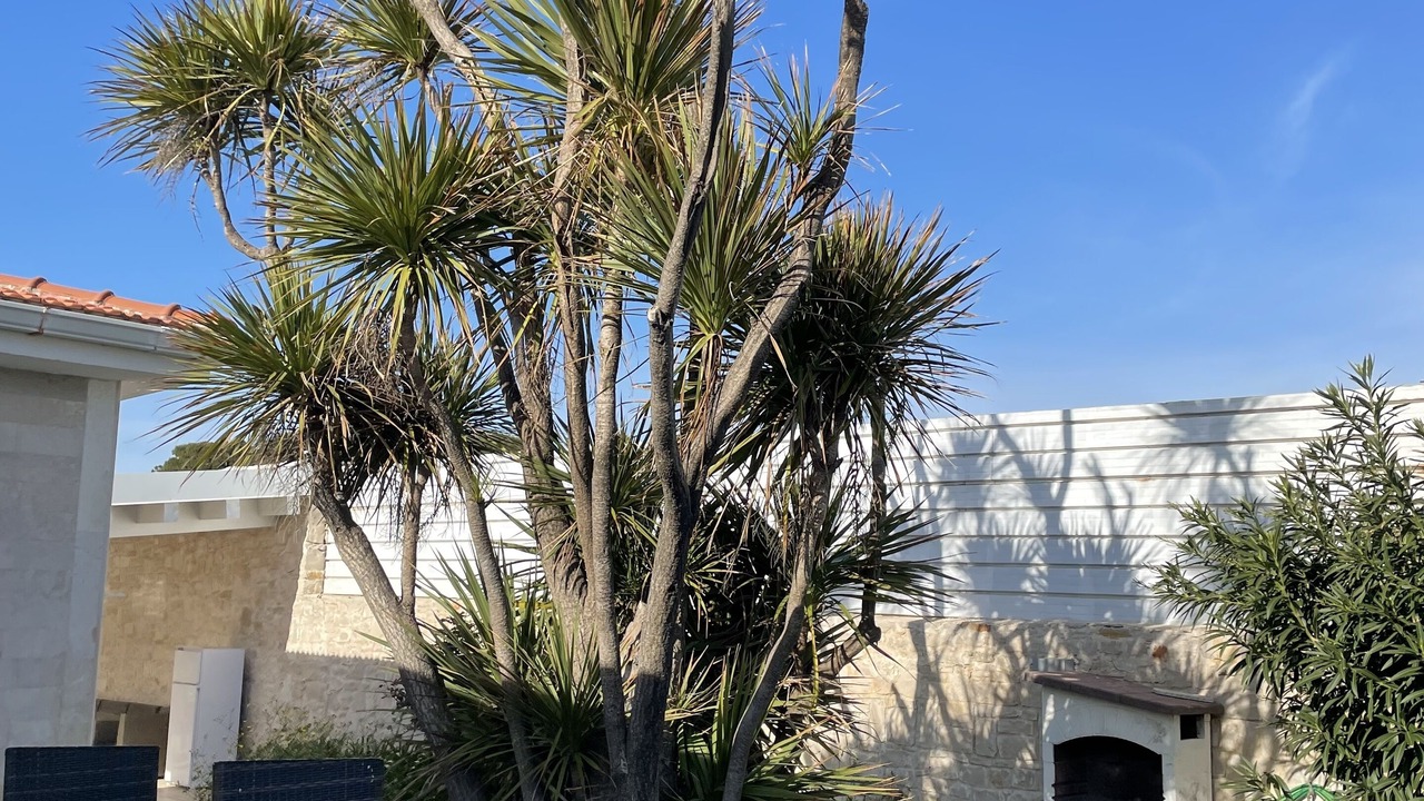 Photo of Outdoor in Trani