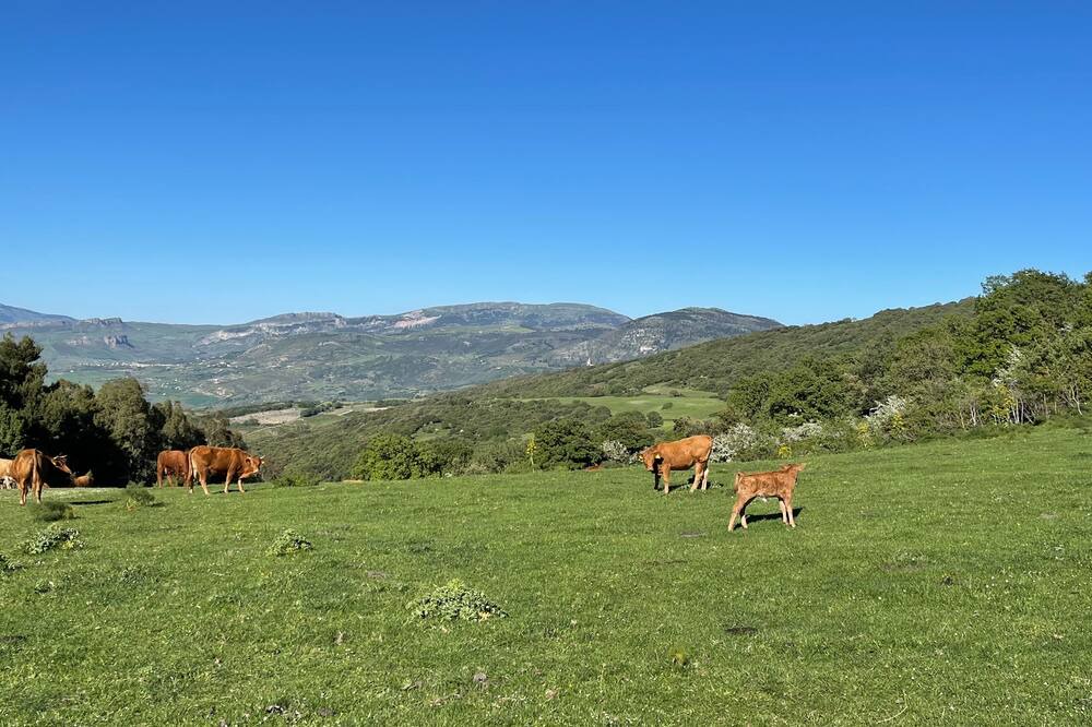 Photo of Outdoor in Contessa Entellina
