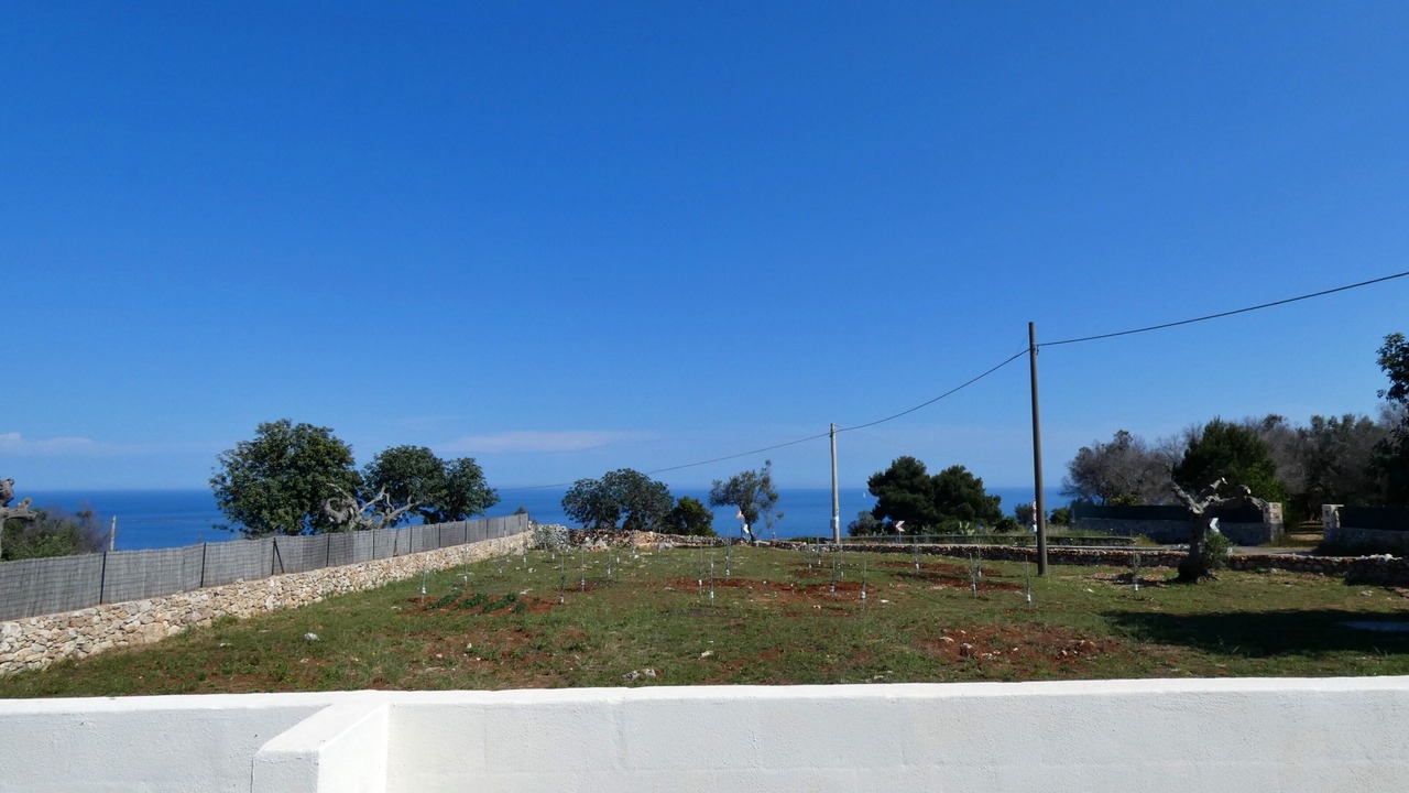 Photo of Others in Alessano