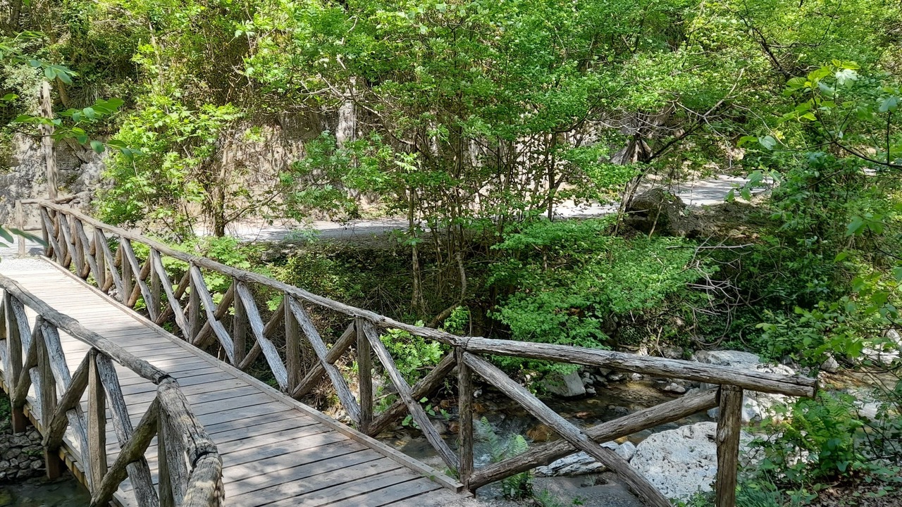 Photo of Outdoor in Orsomarso