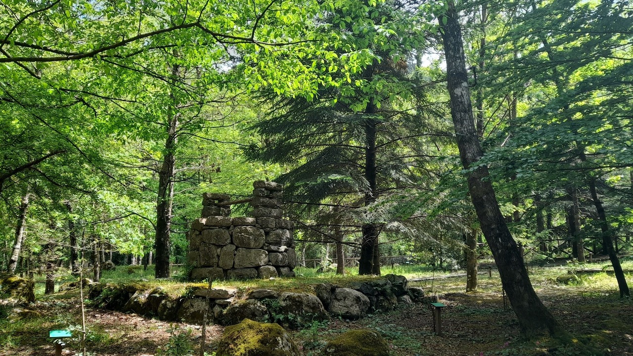 Photo of Outdoor in Orsomarso