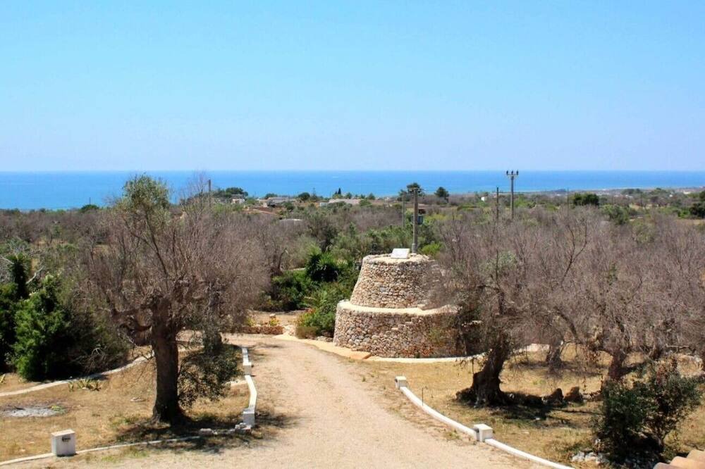 Photo of Outdoor in Salve