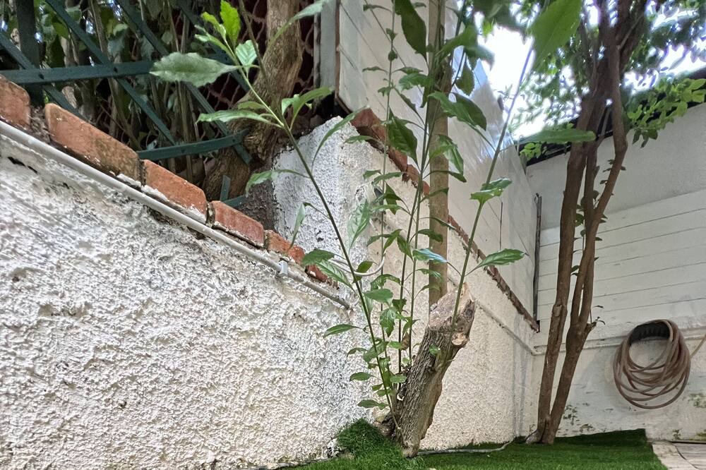Photo of Outdoor in Partanna