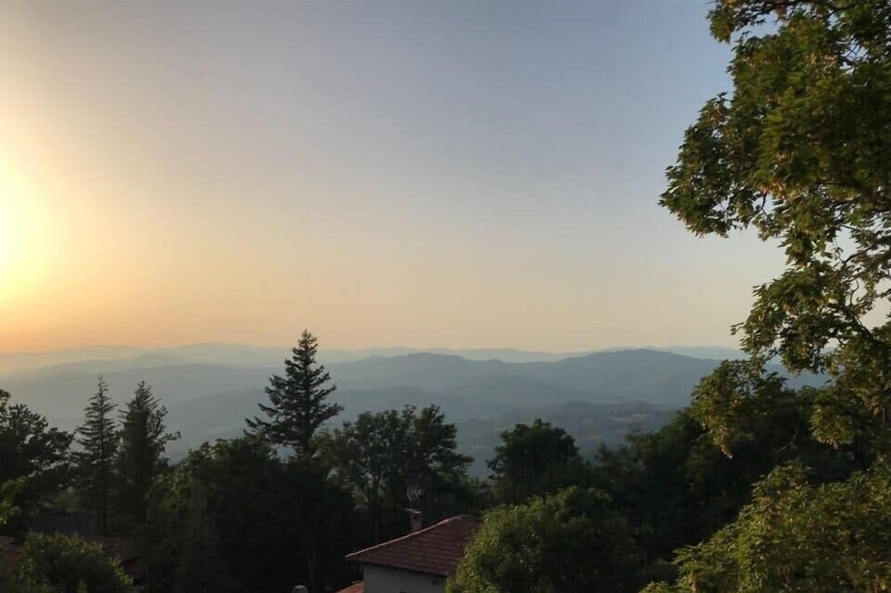 Photo of Others in Saltino