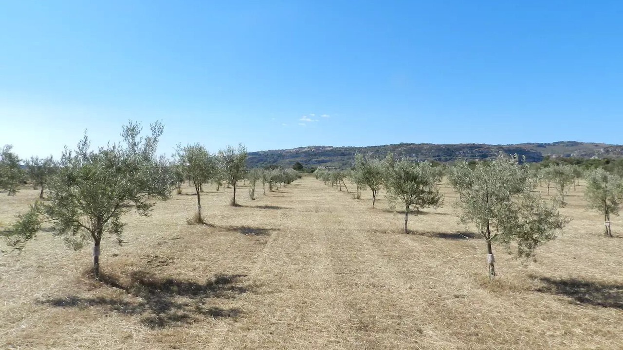 Photo of Outdoor in Melilli