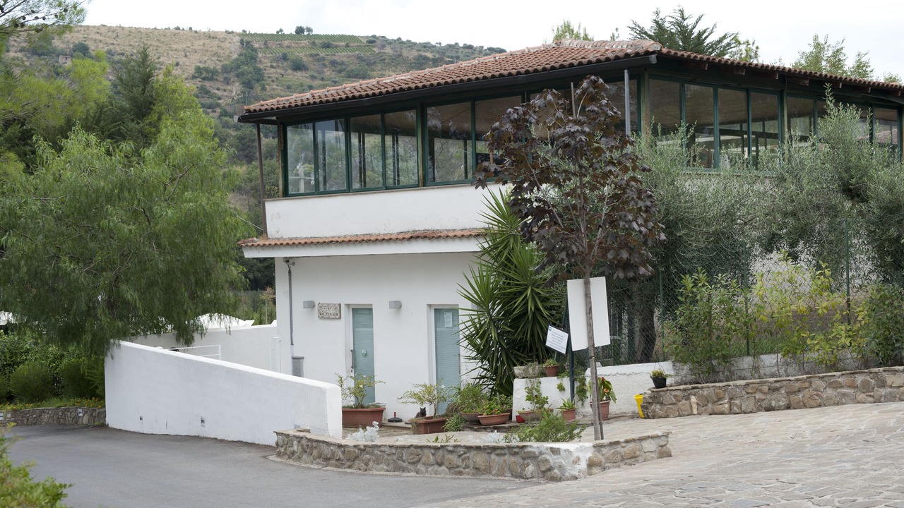 Photo of Outdoor in Torchiara