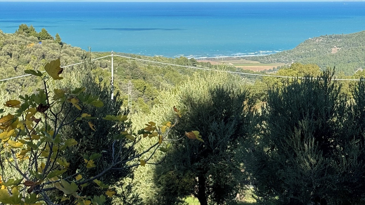 Photo of Outdoor in Vico del Gargano