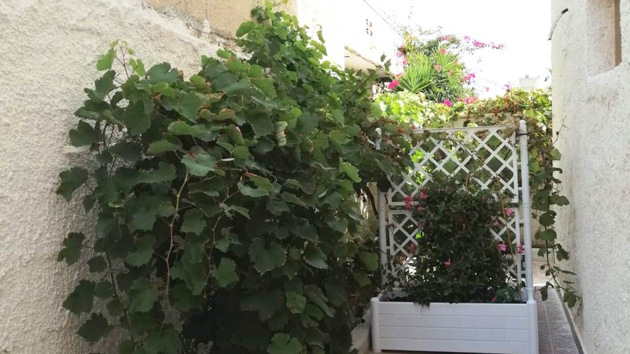 Photo of Outdoor in Granelli