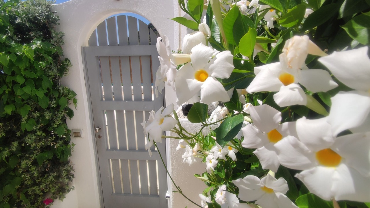 Photo of Outdoor in Santa Marina Salina