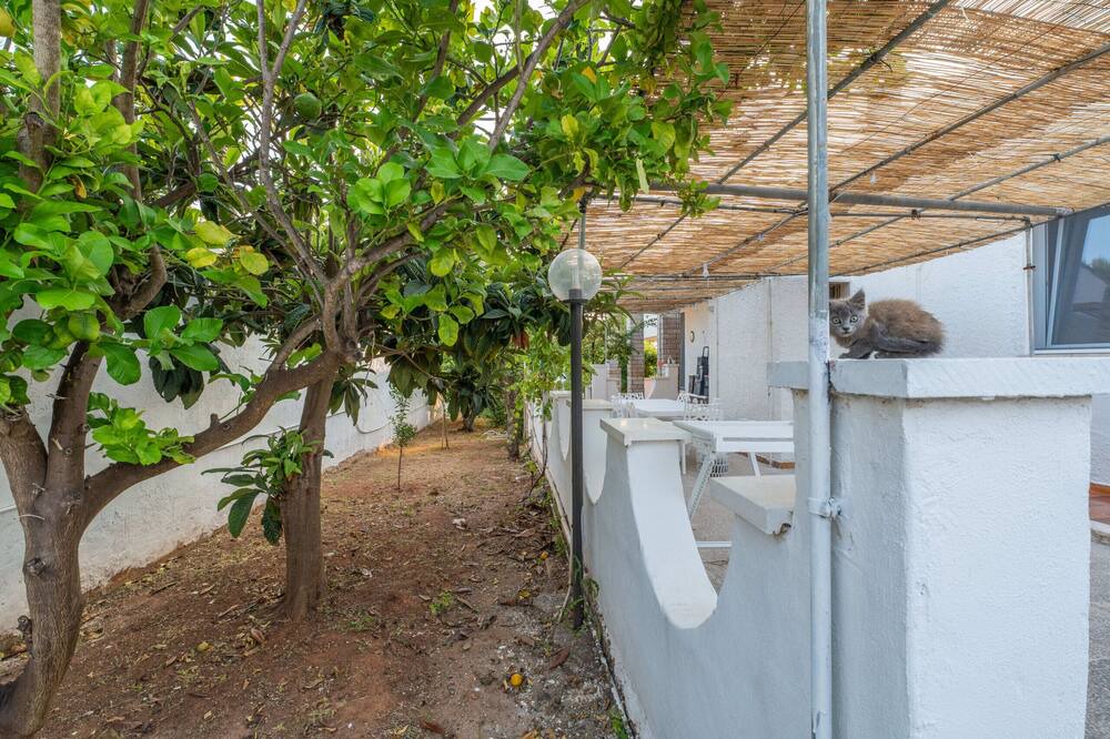 Photo of Outdoor in La Strea