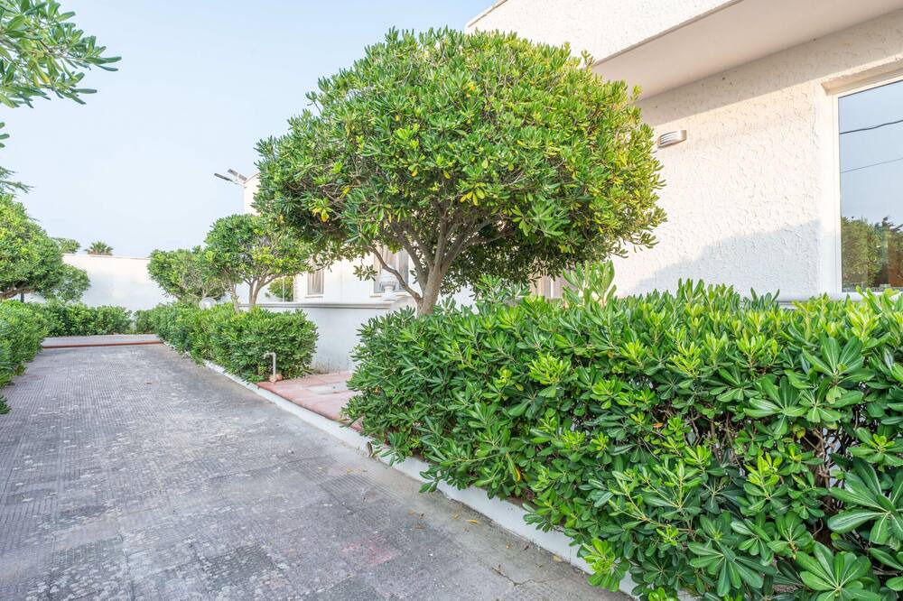 Photo of Outdoor in La Strea