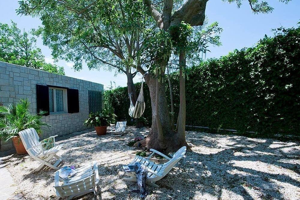 Photo of Outdoor in Casa Papa