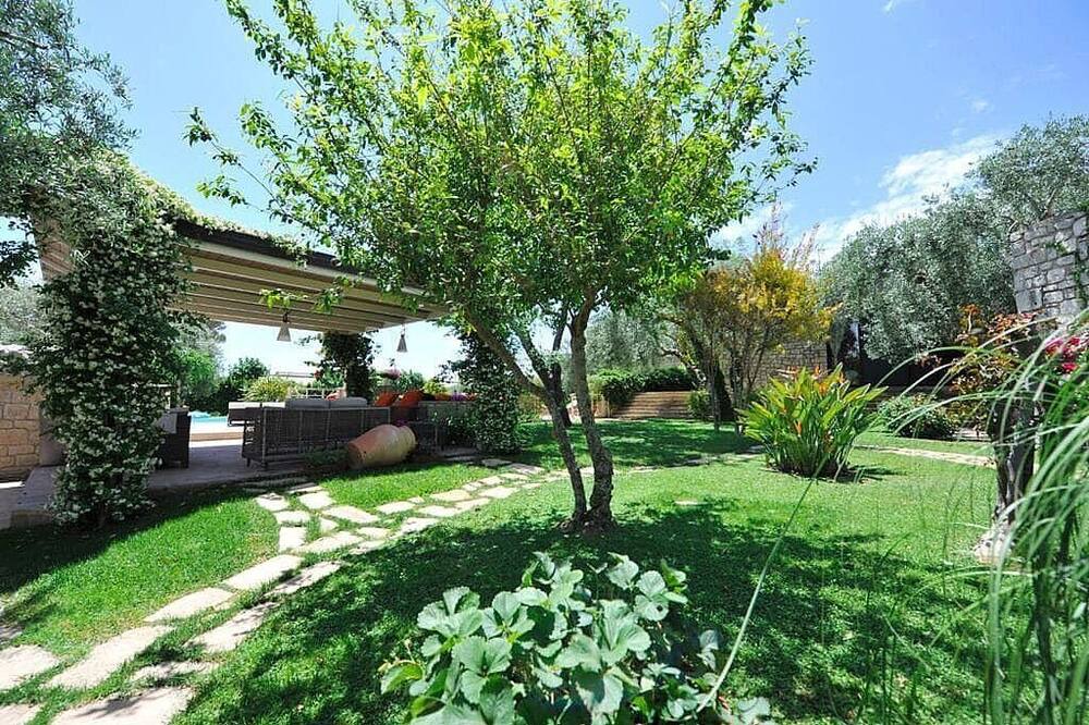 Photo of Outdoor in Casa Papa