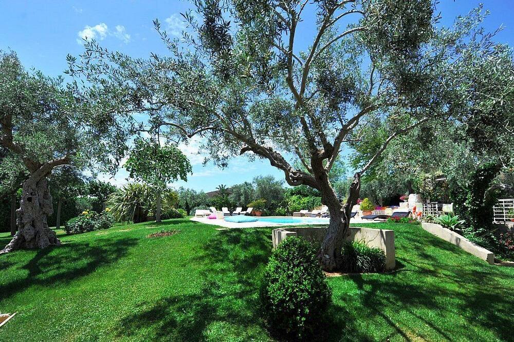 Photo of Outdoor in Casa Papa