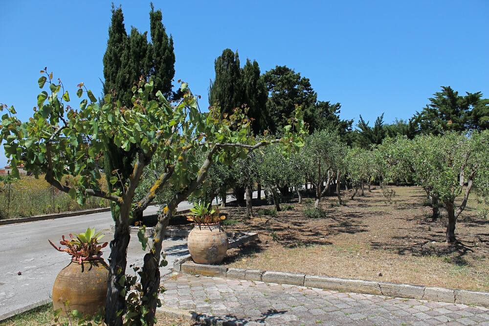 Photo of Outdoor in Campofelice di Roccella