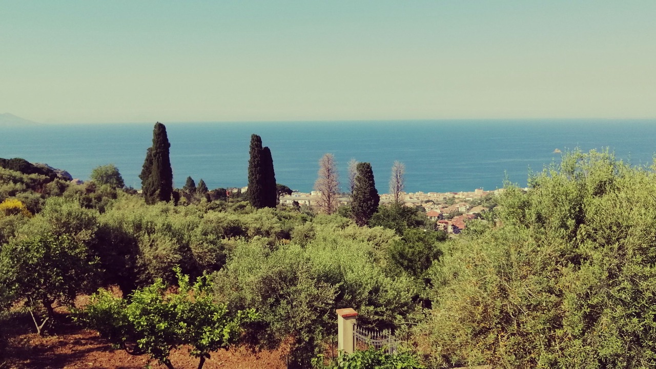 Photo of Others in Sorrentini