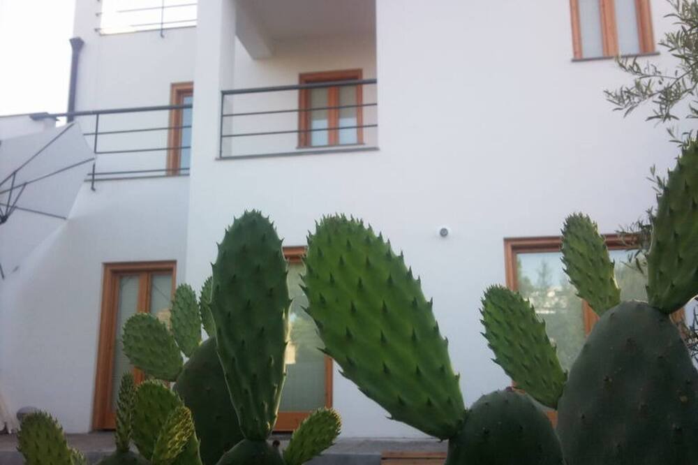 Photo of Outdoor in Torre Colonna-sperone