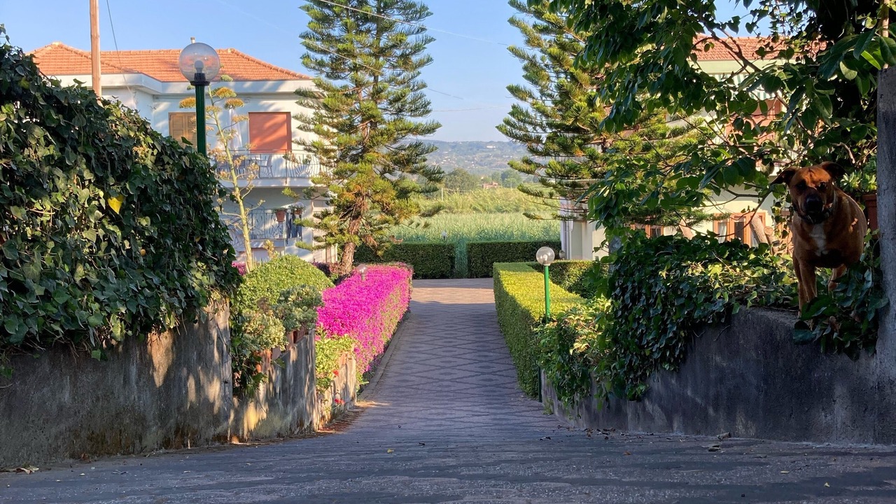 Photo of Outdoor in Fondachello