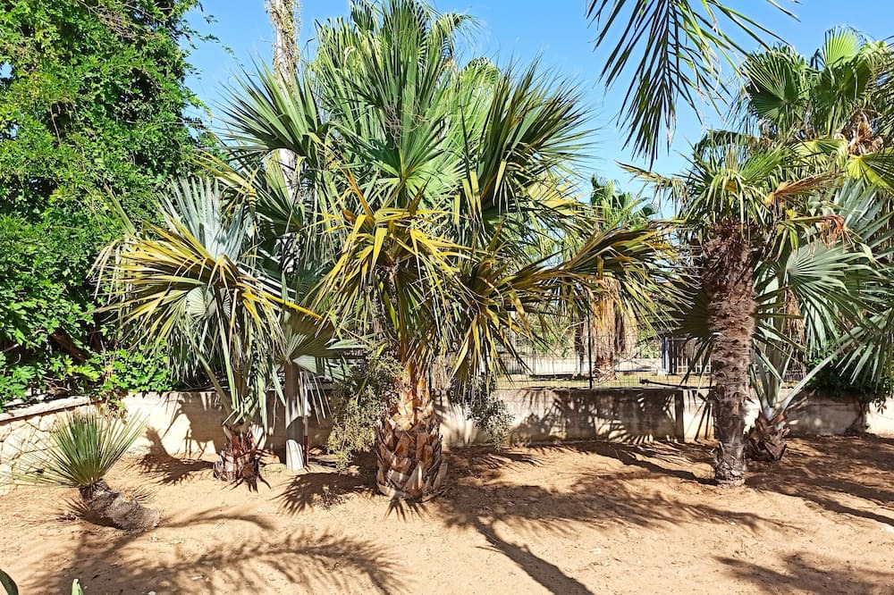 Photo of Outdoor in Alcamo