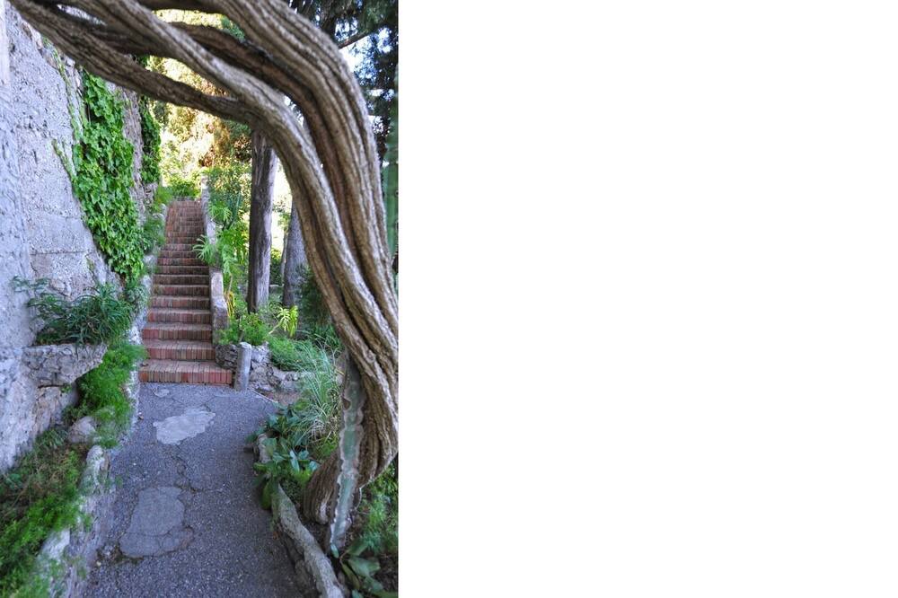 Photo of Others in Ravello