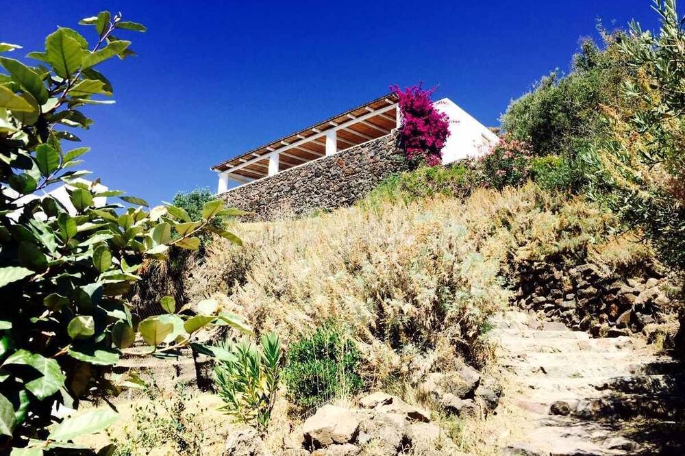 Photo of Outdoor in Lingua