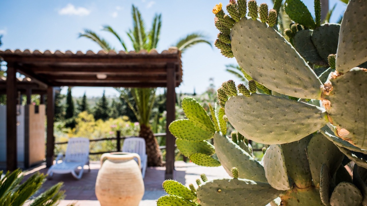 Photo of Outdoor in Caltagirone