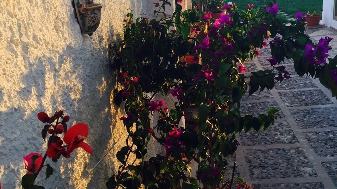 Photo of Outdoor in Marsala