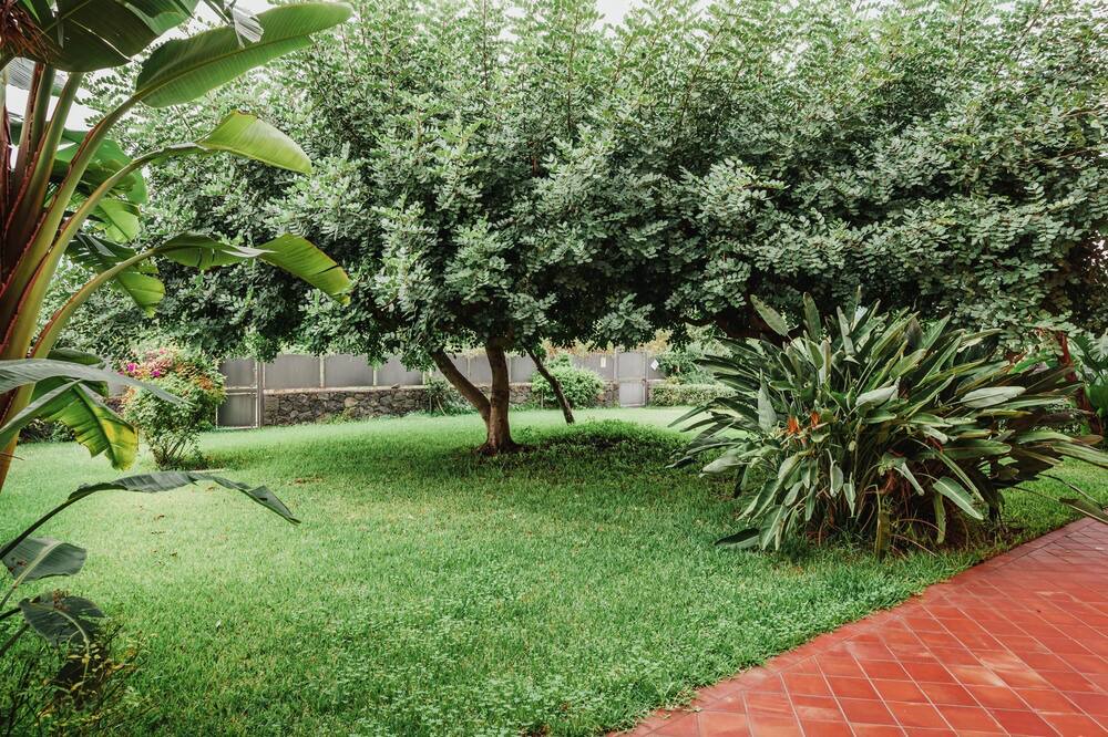 Photo of Outdoor in Santa Tecla