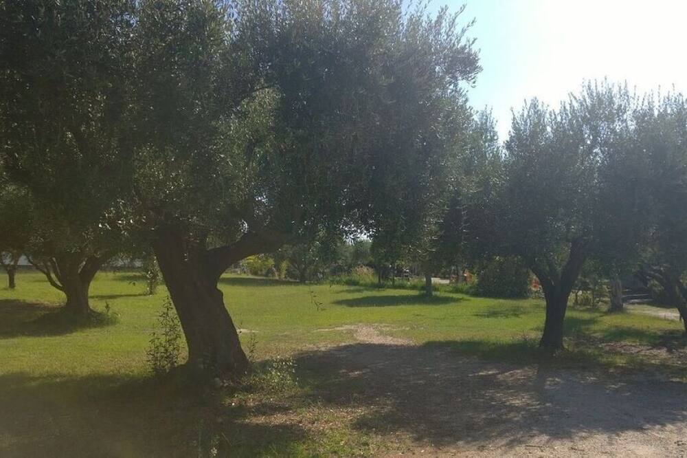 Photo of Outdoor in Santa Maria