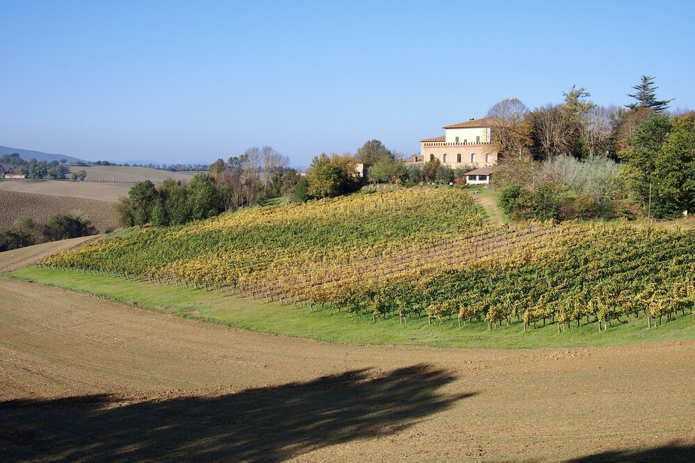Photo of Others in Montalcino