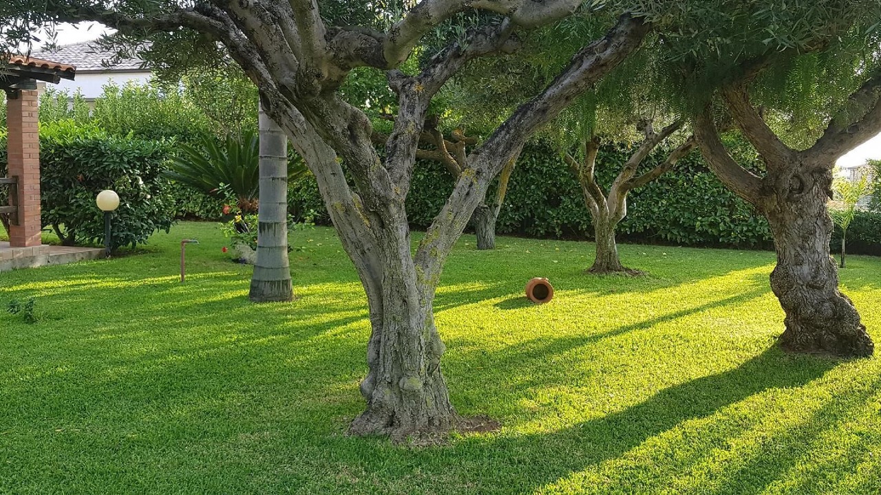 Photo of Outdoor in Ricadi