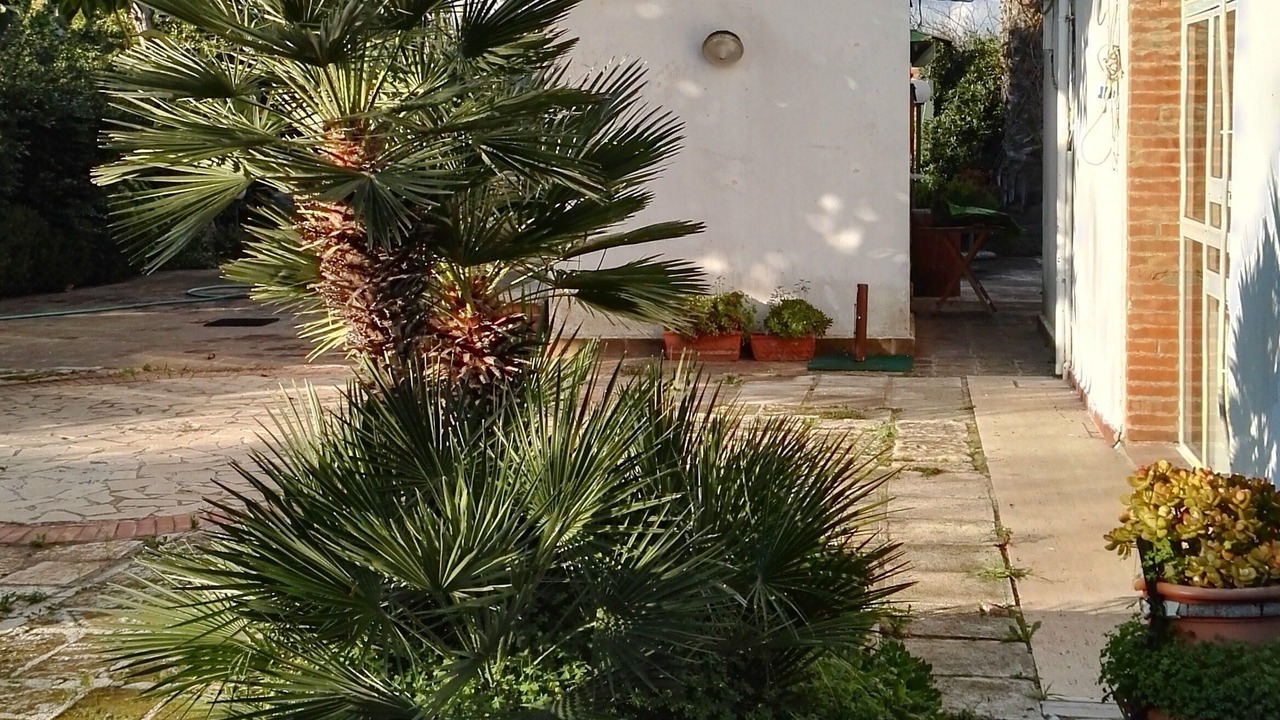 Photo of Outdoor in Ognina