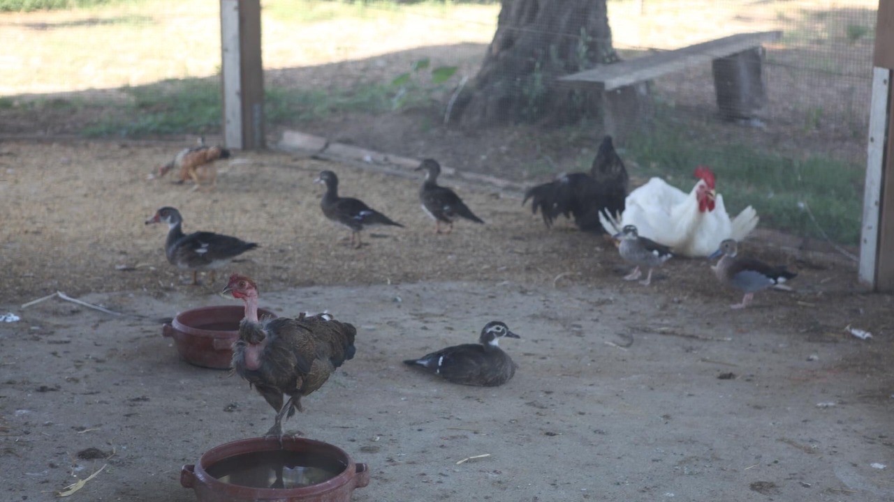 Photo of Outdoor in Ricadi