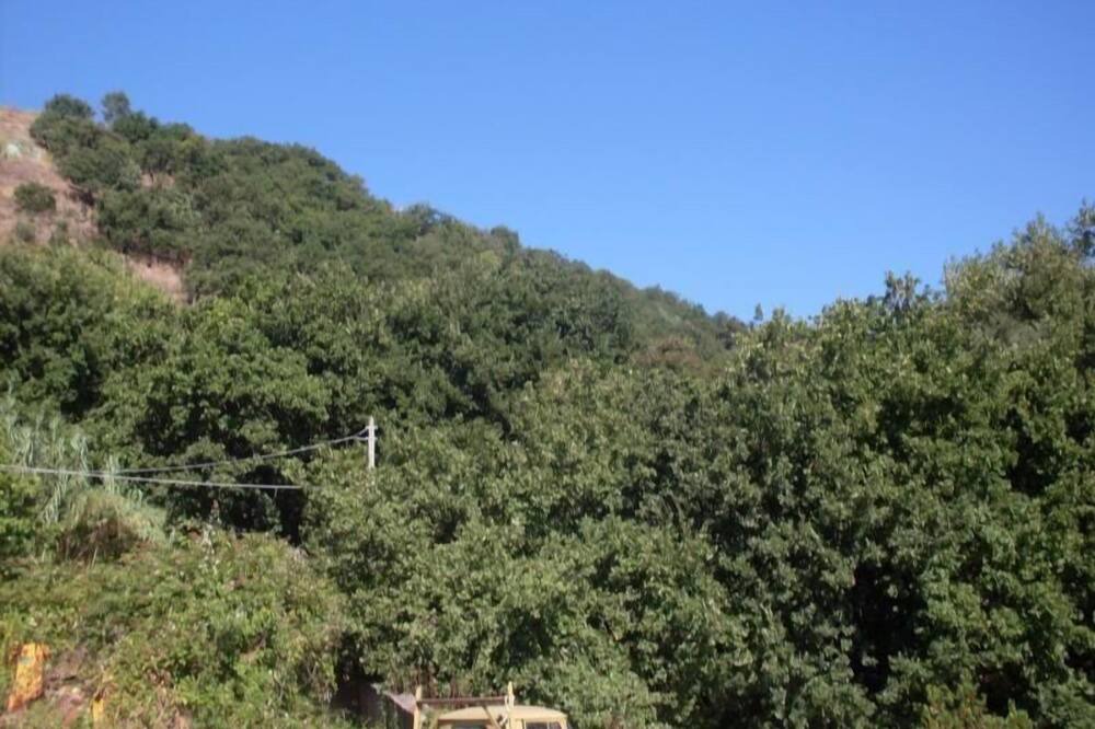 Photo of Others in Fiaiano