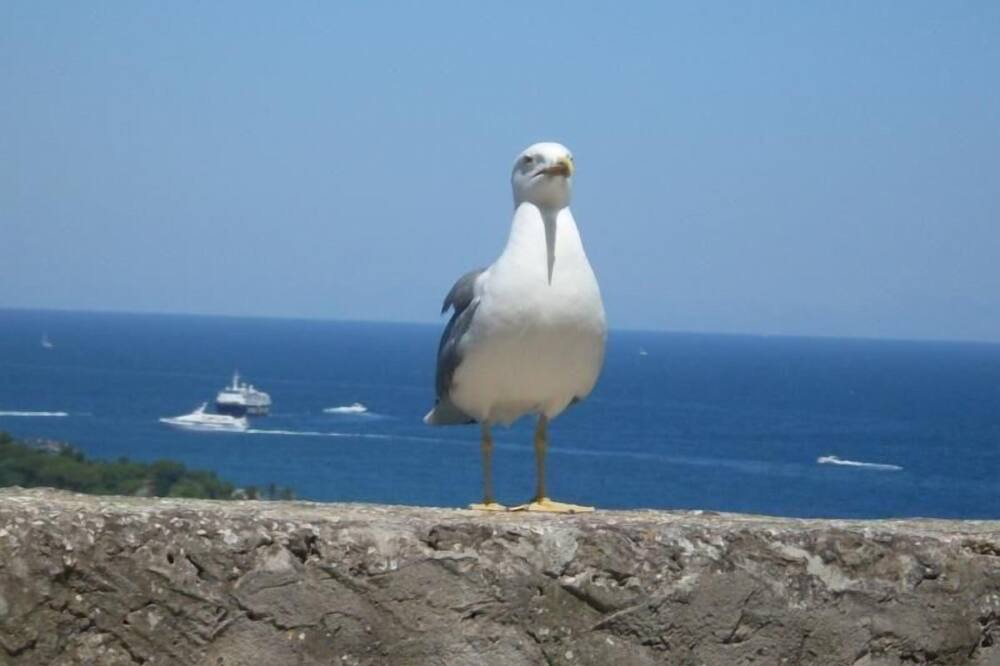 Photo of Others in Fiaiano