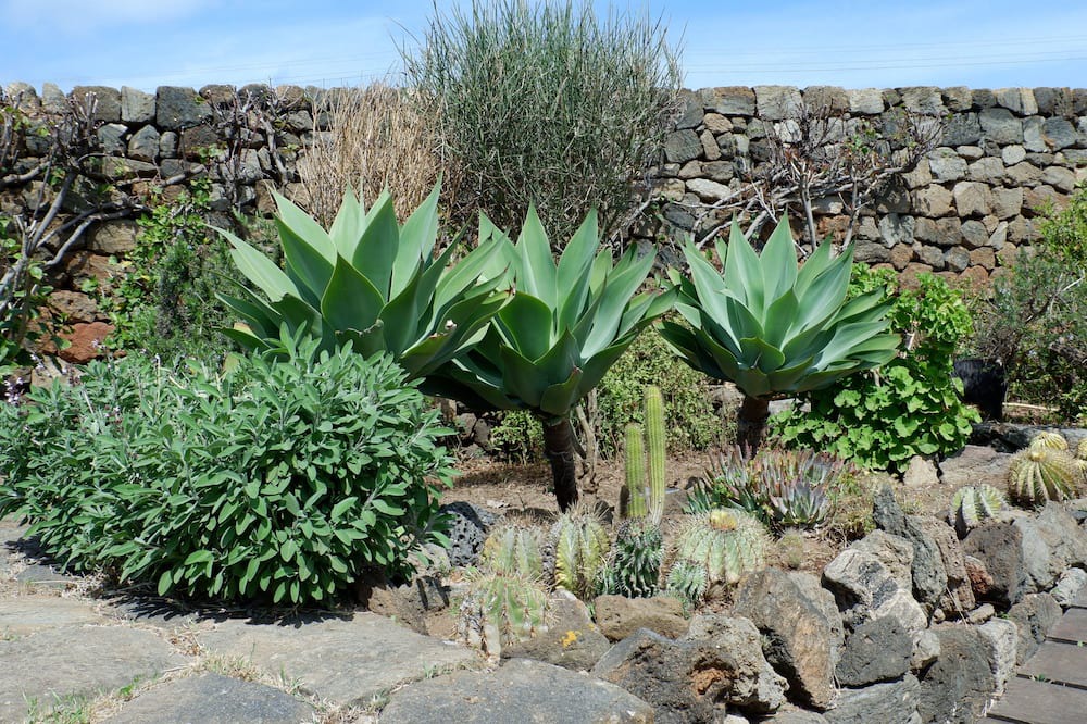Photo of Outdoor in Pantelleria