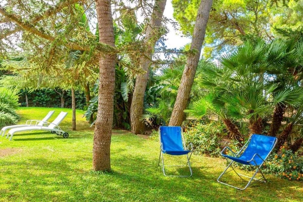 Photo of Outdoor in Valderice