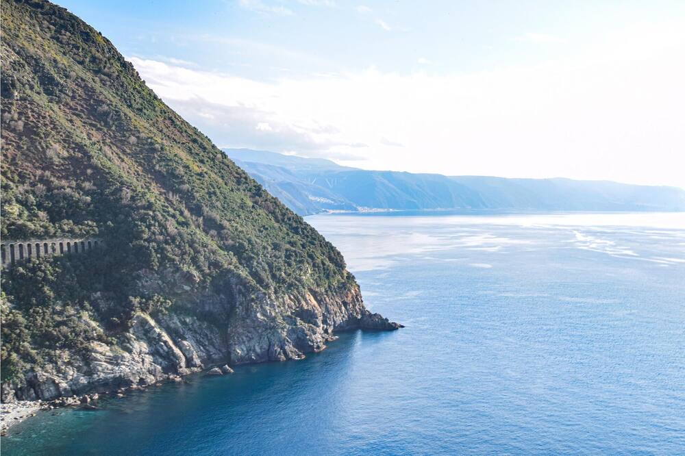 Photo of Others in Scilla