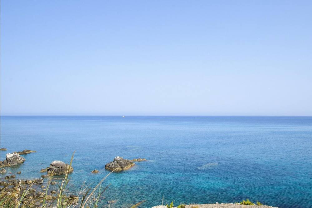 Photo of Others in Scilla
